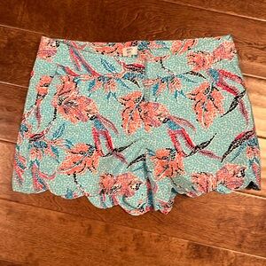 Crown & Ivy shorts